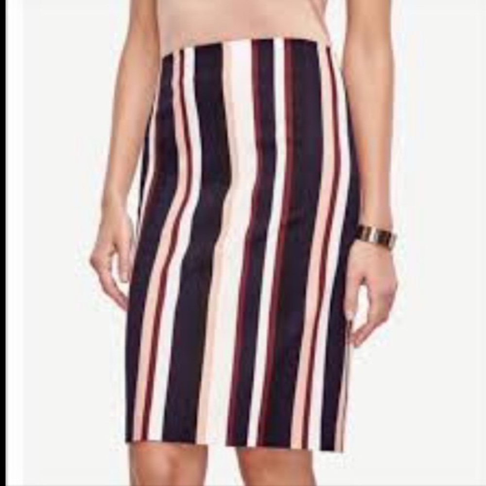 Ann Taylor women’s Skirt